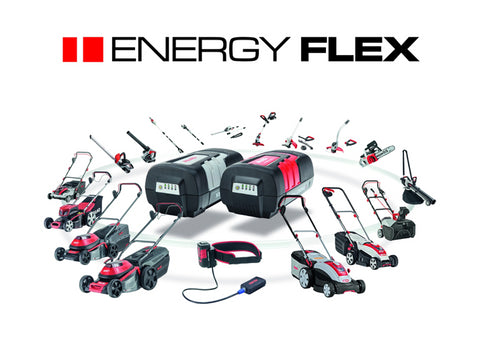 AL-KO Energy Flex GT 4030 Cordless Grass Trimmer Kit